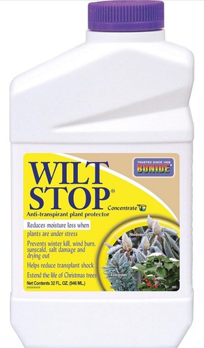 Wilt stop plant protection - plant,